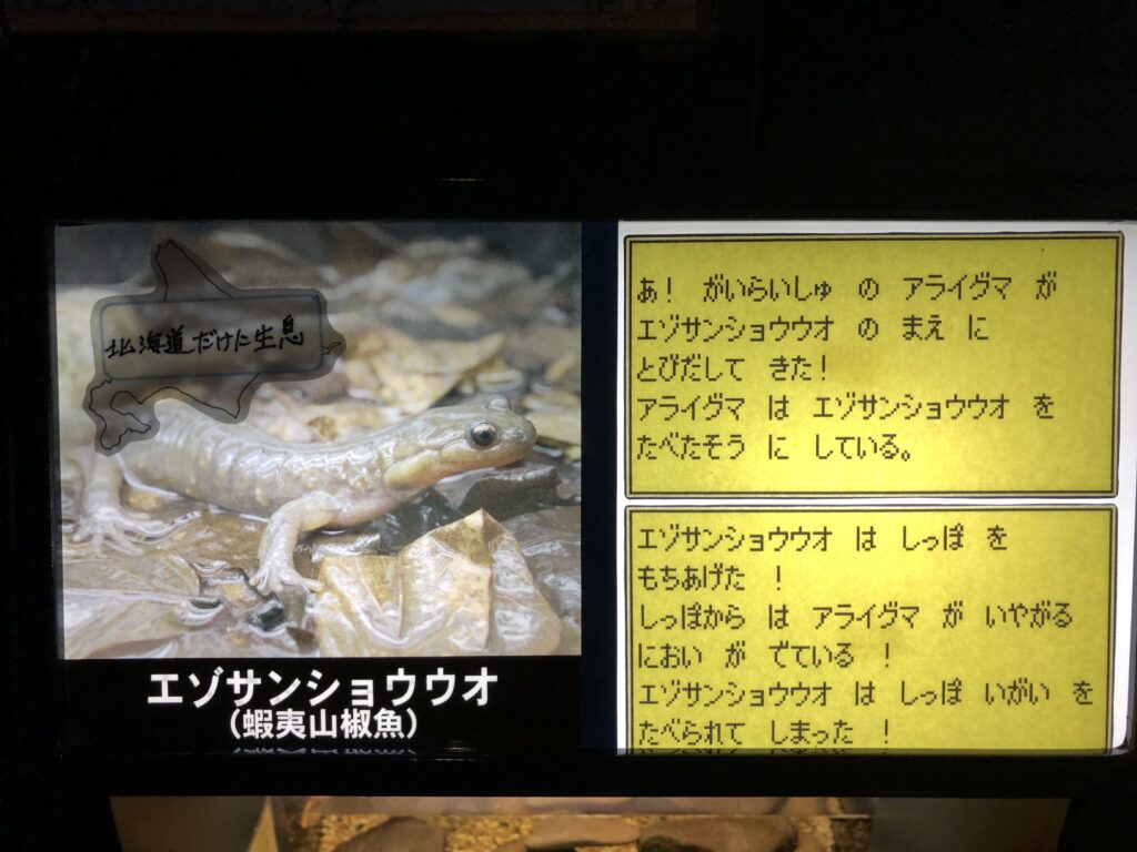 4月15日おんねゆ温泉から旭川へ キタキツネ牧場 山の水族館 Anyohaseyo